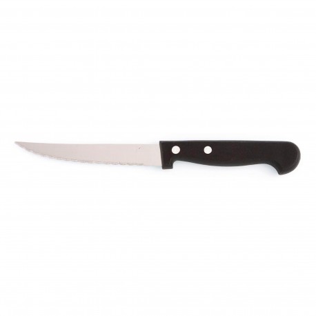 FACA CARNE 21CM PRADEL CABO PLÁSTICO