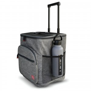 BOLSA NEVERA CON RUEDAS 35L JASPEAD - 2